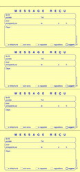 Carnet pour 120 messages recus - Fiches autocopiantes  - Elve 2091
