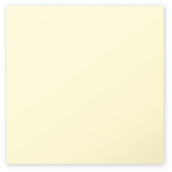 Pack de 25 cartes ivoire Pollen carres - 16 x 16 cm - Marque Clairefontaine