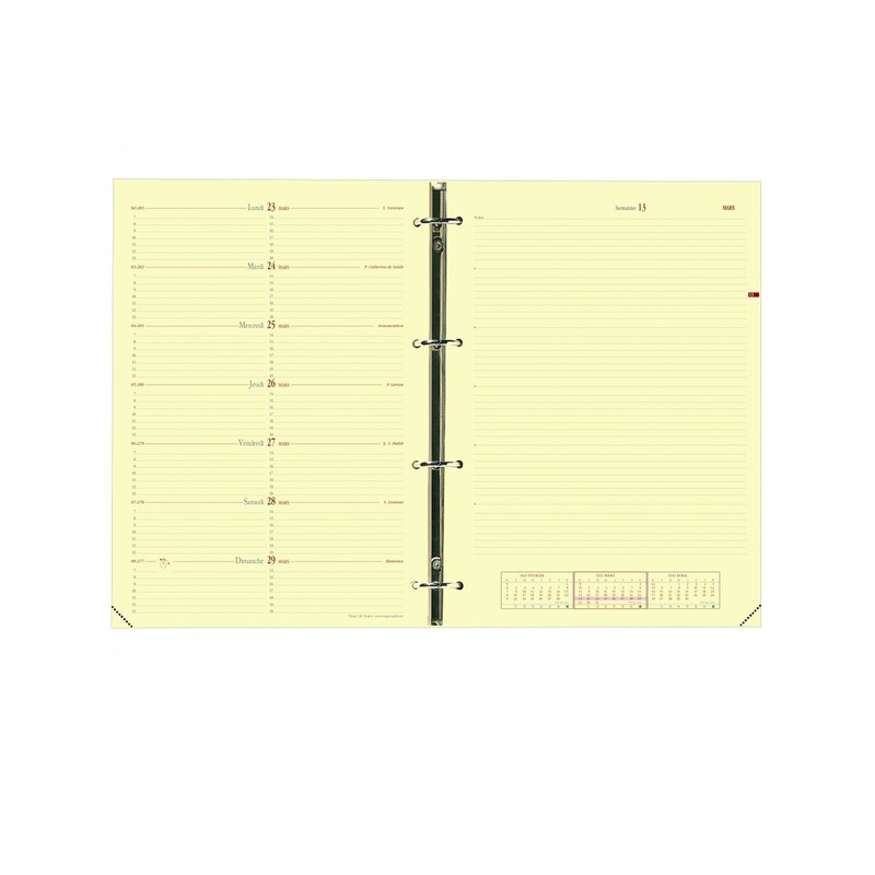 Organiseur Quo Vadis Timer 29 - Format A4 en stock à Lyon