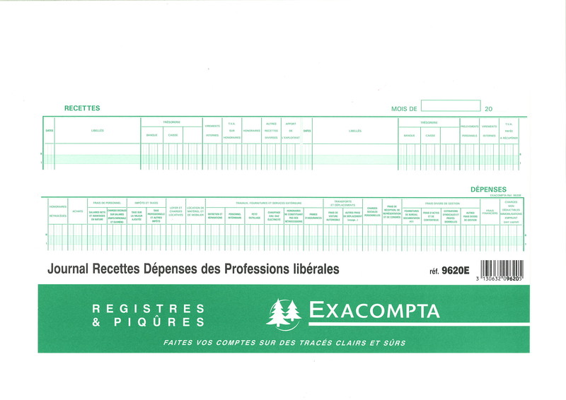 Journal Recettes Dépenses pour Professions libérales en stock à