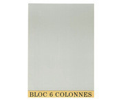 Bloc audit jaune - En-tte + 6 colonnes - Exacompta 5706E