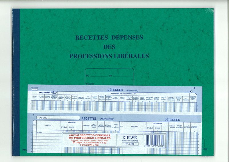 Journal Recettes Dépenses Profession libérale ELVE 97381