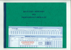 Journal Recettes Dpenses des Professions librales Elve