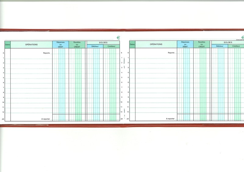 Carnet de compte journalier -  France