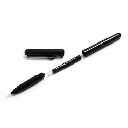 Pentel Pocket Brush Pen Noir + cartouche FP10-A0
