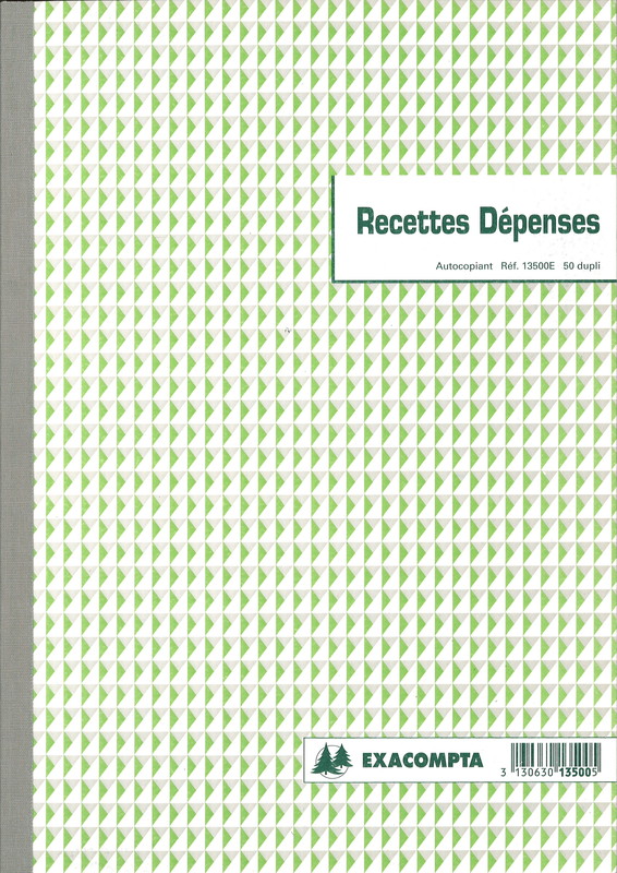 Exacompta 13500E - Manifold Recettes Dépenses, 29,7x21 50 dupli